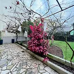 Rosa Branca - Ap Acolhedor Perto Da Appartamento